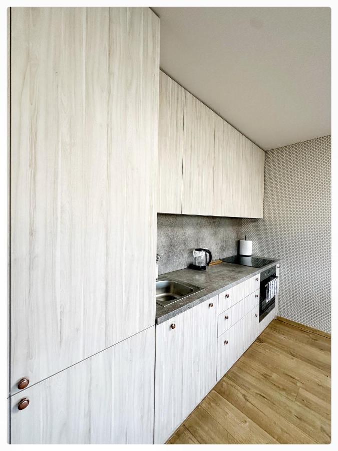 Apartaments In The City Centre คอนัส ภายนอก รูปภาพ